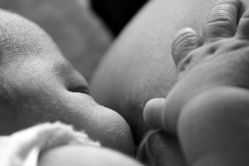 visitas en lactancia escalada a custodia compartida