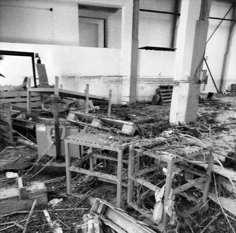 ampliación ayudas DANA viviendas enseres