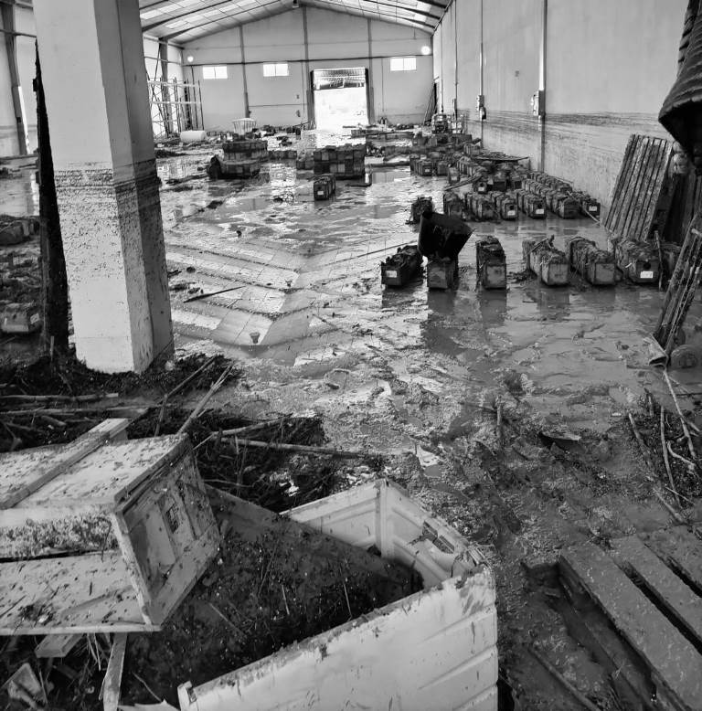 imposibilidad reanudación dana erte