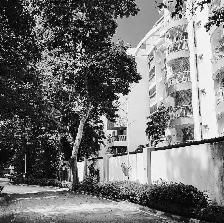 usufructo nuda propiedad usucapión